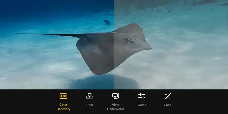 اسمو اکشن 6 D-Log Mدر دوربین اسمو اکشن 6 DJI